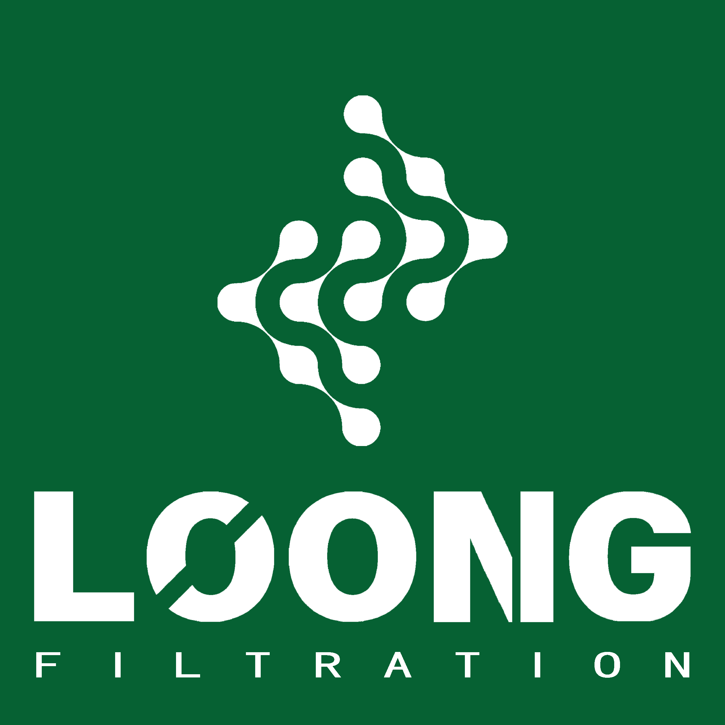 loongfiltration-logo 